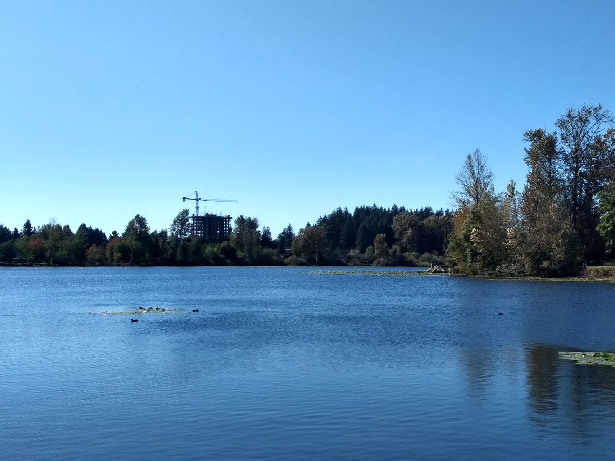 KayDelvesWitte's tweet photo. Great view of @mahoganycondos while jogging around Mill Lake today. #Abby #AbbyRE https://t.co/KsQOaOUCPT