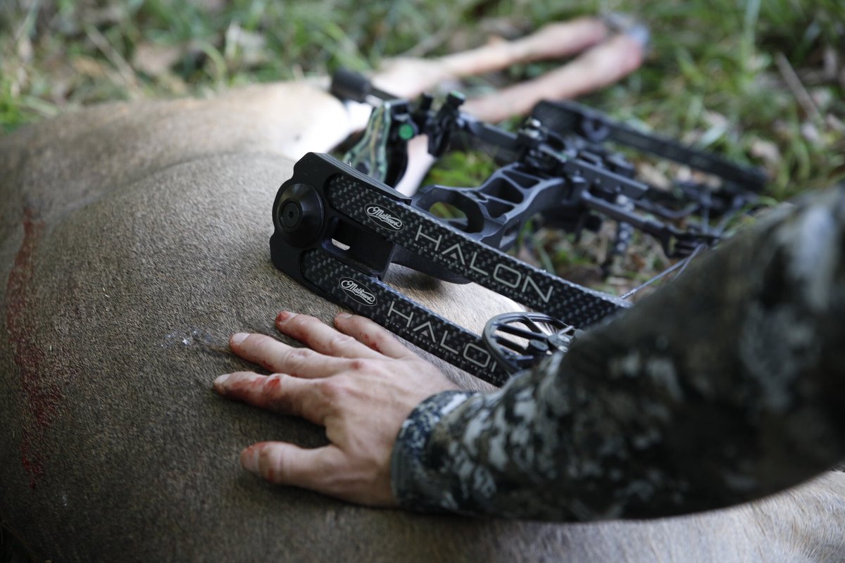 Always a good morning!