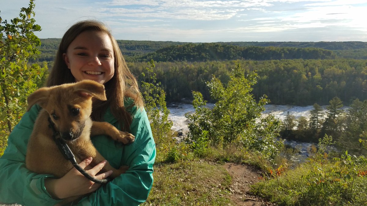 jcander22's tweet photo. Life near #jaycooke State Park. https://t.co/8e60Dh94FM