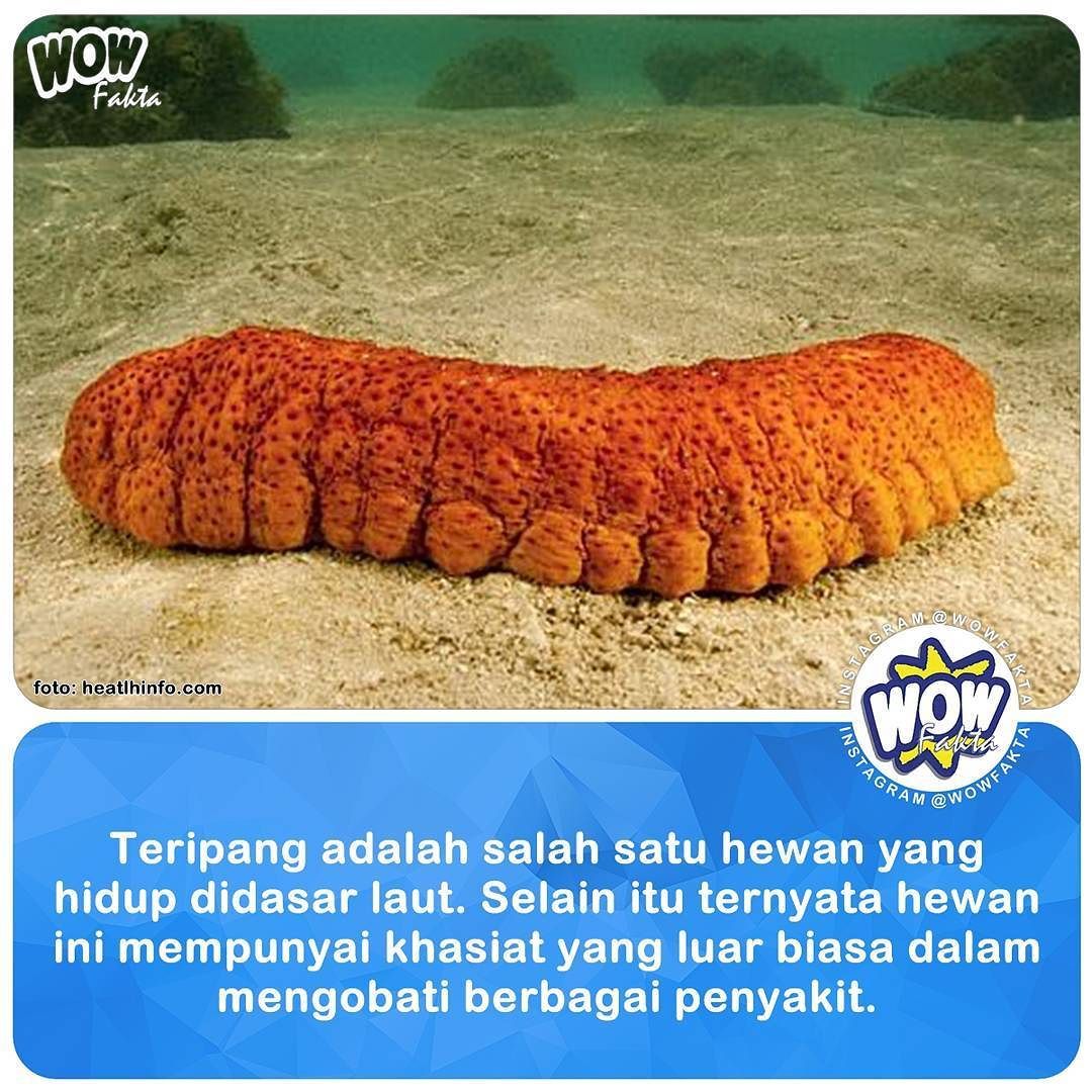 Asmed Med Asmed89865906 Twitter