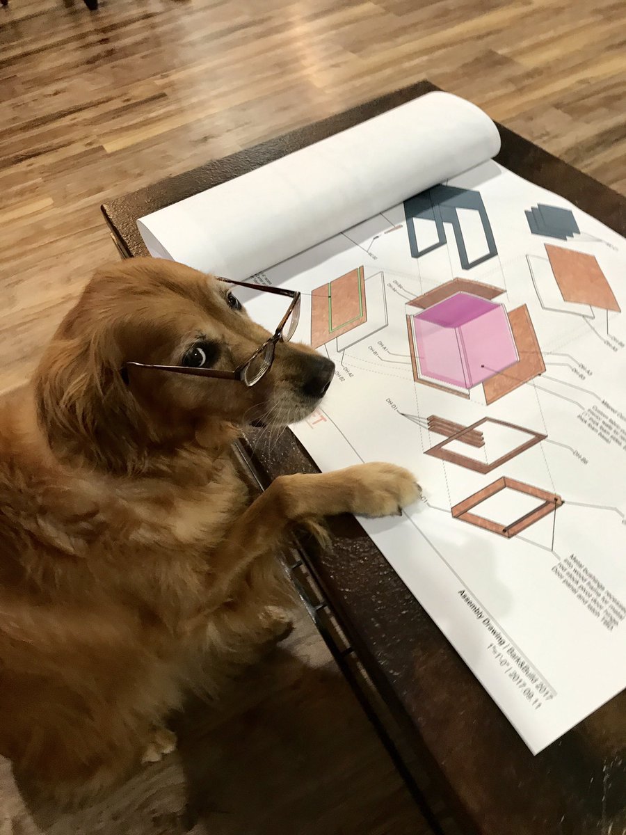 BalancingBeans's tweet photo. Trying to get some work done reviewing plans for @barkandbuild Dallas for an @spca fund raiser. #barknbuild https://t.co/JdAJtfDr0g