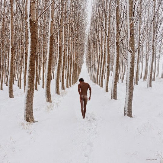 integreatness_'s tweet photo. Some Walks You Have To Take Alone

@MakoRene @MGrazziotti
@Astrophill @gilmartin111
@gilmarcandeia @Ktmr_W
@lso45 @ariperi @IlGlaz
@RUGODA https://t.co/j6gx27ZxlU