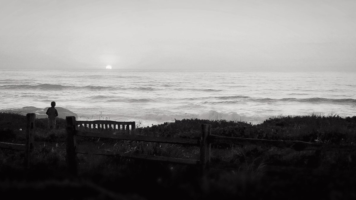 #PictureOfTheDay  yachats