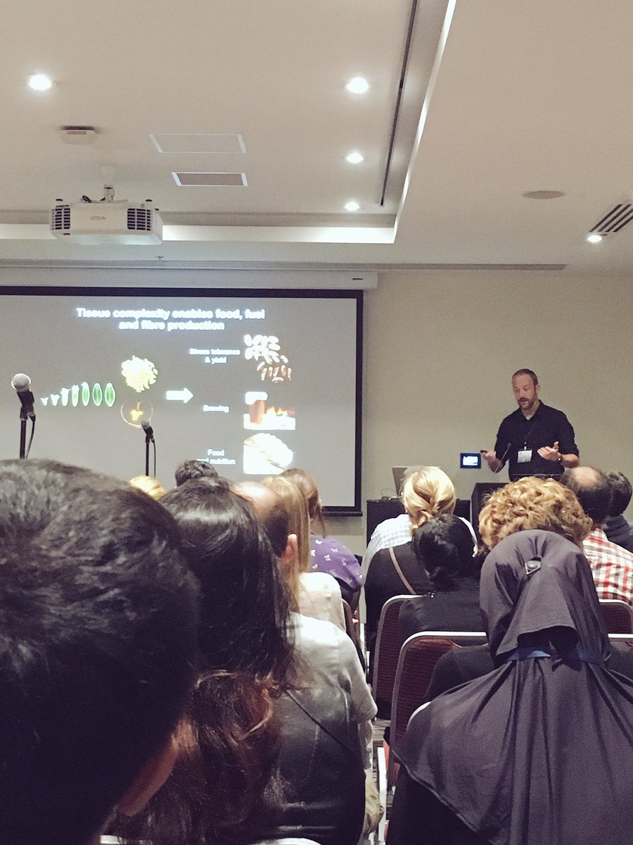 Great presentation by <a href="/drtucks/">Matthew Tucker</a> looking at aleurone development in barley! Must have a great student working on that :D @ComBio2017 #barley