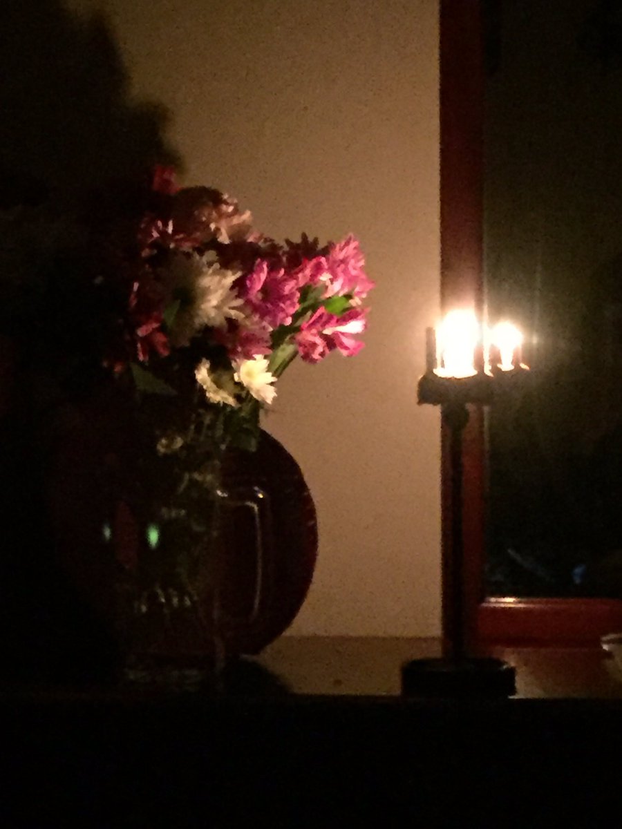 ibchilly's tweet photo. #flowers #whatalife #HappyBirthday https://t.co/W8TzyxWvC2