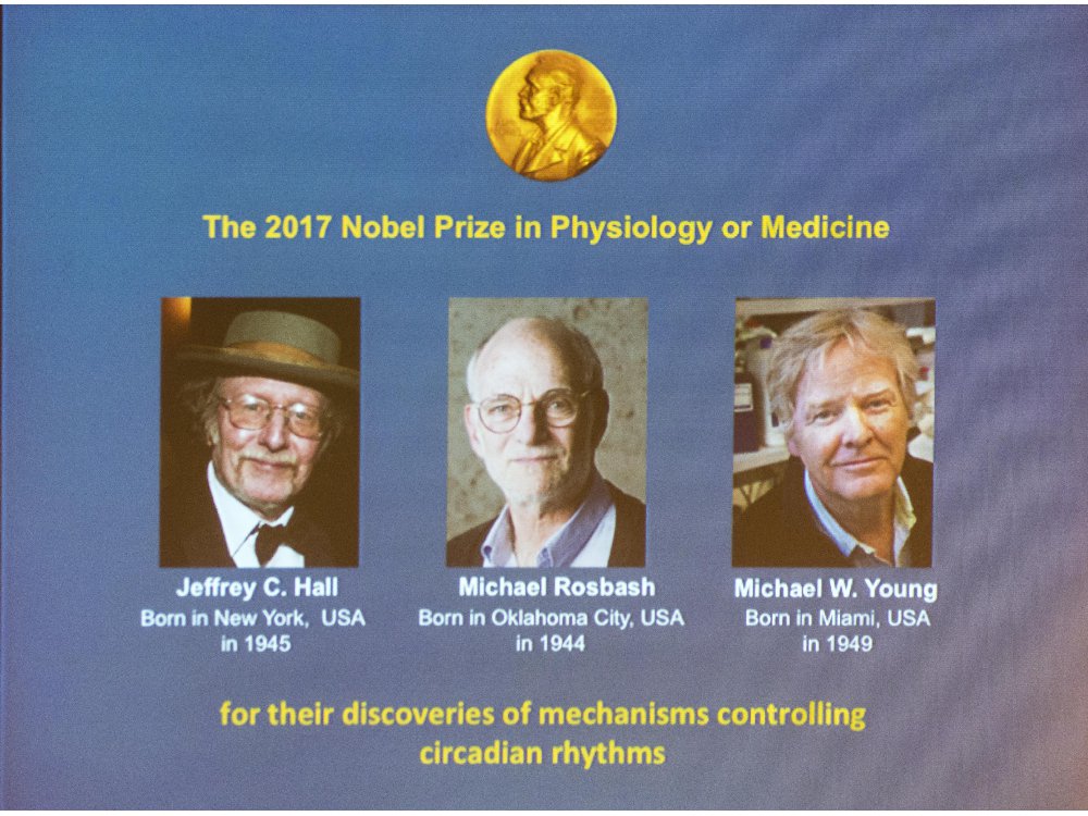 #Cultura Científicos estadounidenses son galardonados con premio Nobel 
>bit.ly/2g60YK3