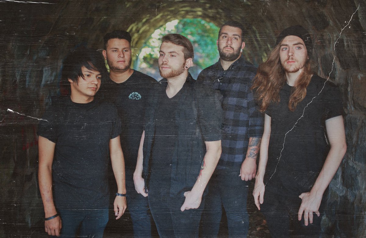 weareashes's tweet photo. Reborn and stronger then ever. https://t.co/WMm8FdAw0d