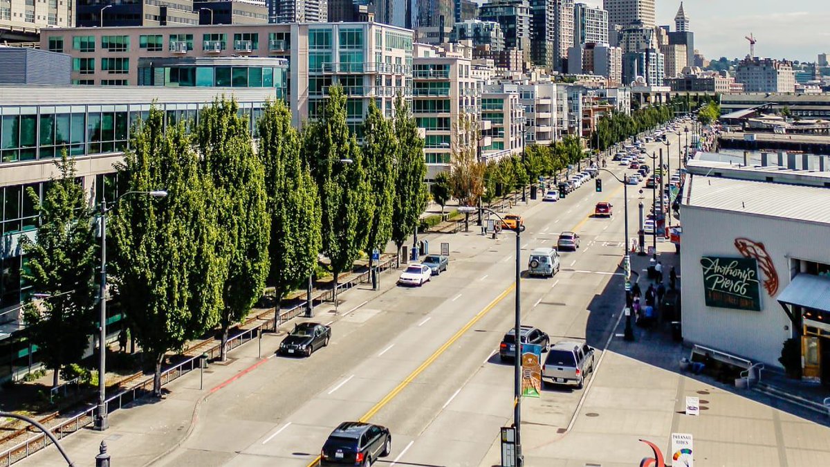 FastCompany's tweet photo. Cities should think about trees as public health infrastructure https://t.co/qHN3WdvQk0 https://t.co/dlO6rva3m8