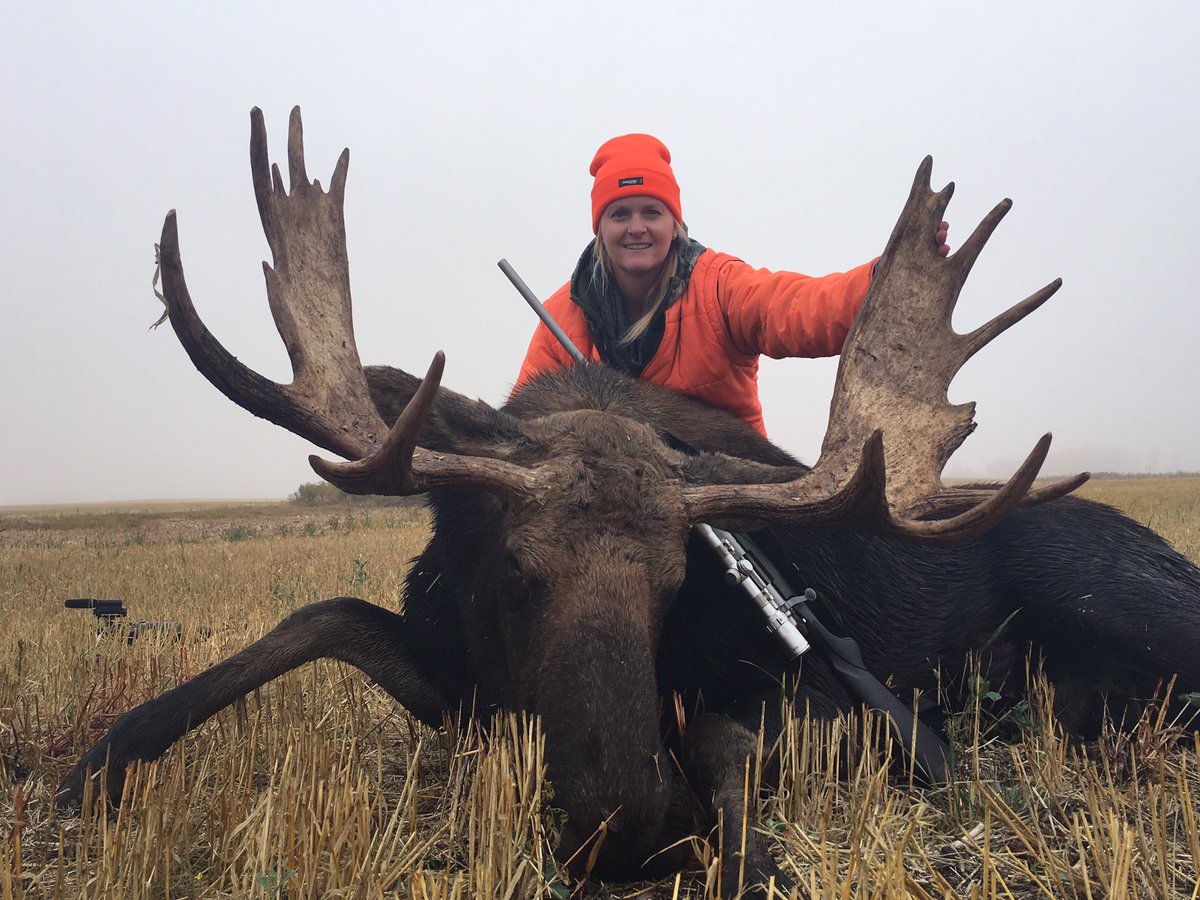 Scocks14's tweet photo. First Moose hunt was a success https://t.co/Fkqa4tjkXI
