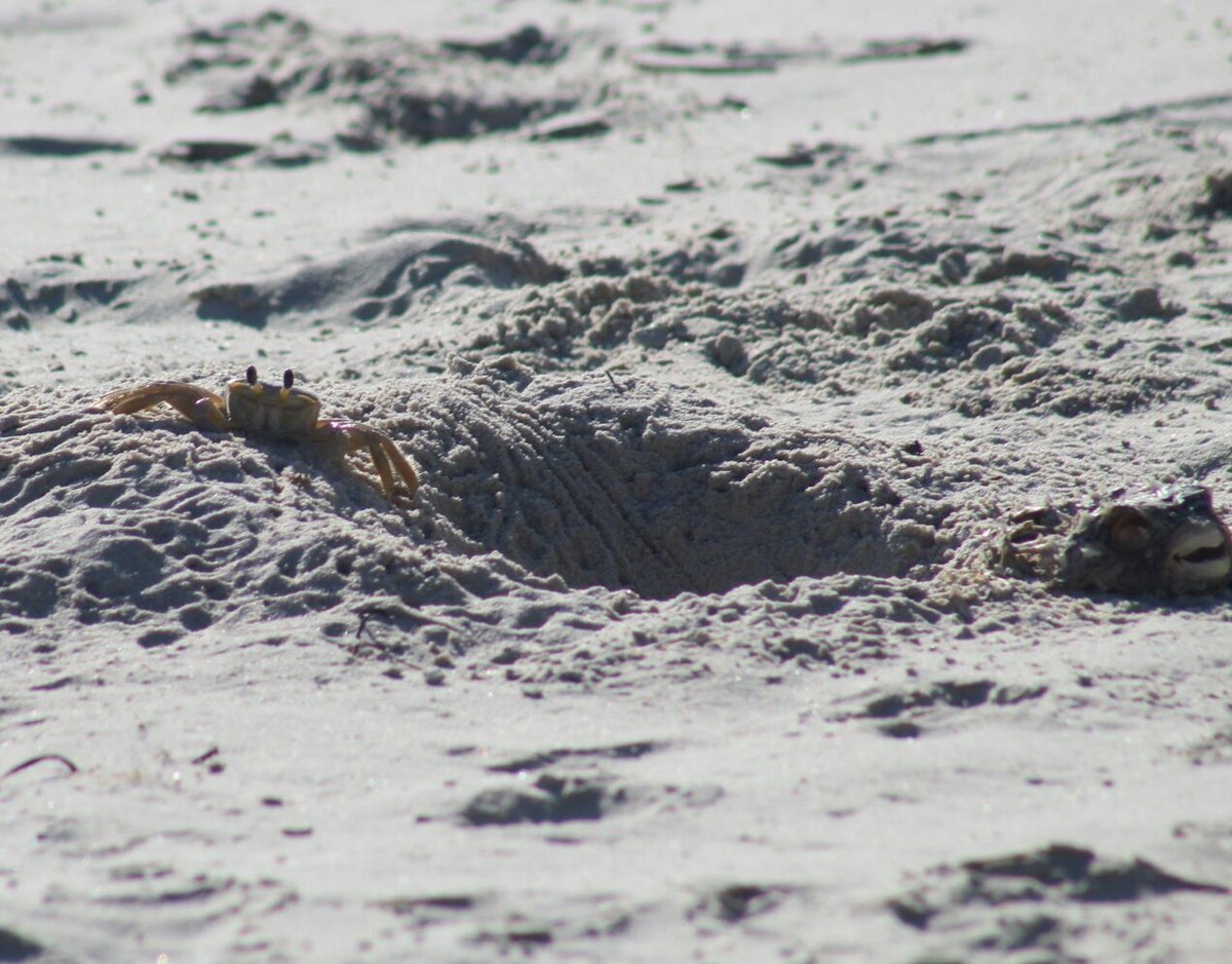 BioSchultz's tweet image. Probably one of my favorite photos I've taken. #amaturephotography #Canon