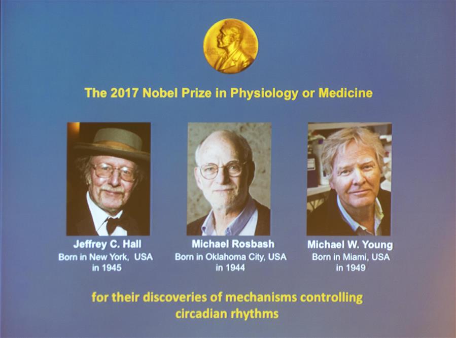 ChinaDaily's tweet photo. Three US scientists won the Nobel Prize in physiology or medicine for being "able to peek inside biological clock".https://t.co/E4EIrl6tcK https://t.co/2EA292U2ac
