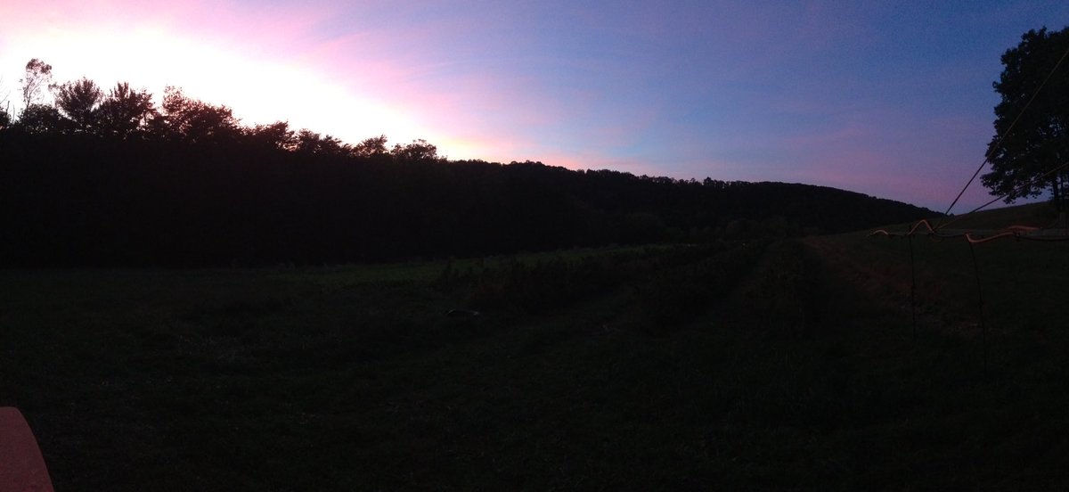 New Morning Farm tweet media