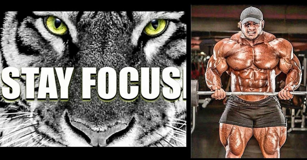 SherylD19's tweet image. BIG Ramy 👆
#beaststatus👊💥💥 #focus #gym4life #fitspire 
#muscleshow #BigBoyZclub
#sweatandtears #fitlife
#healthy #amatteroffit #cfcrowdfire