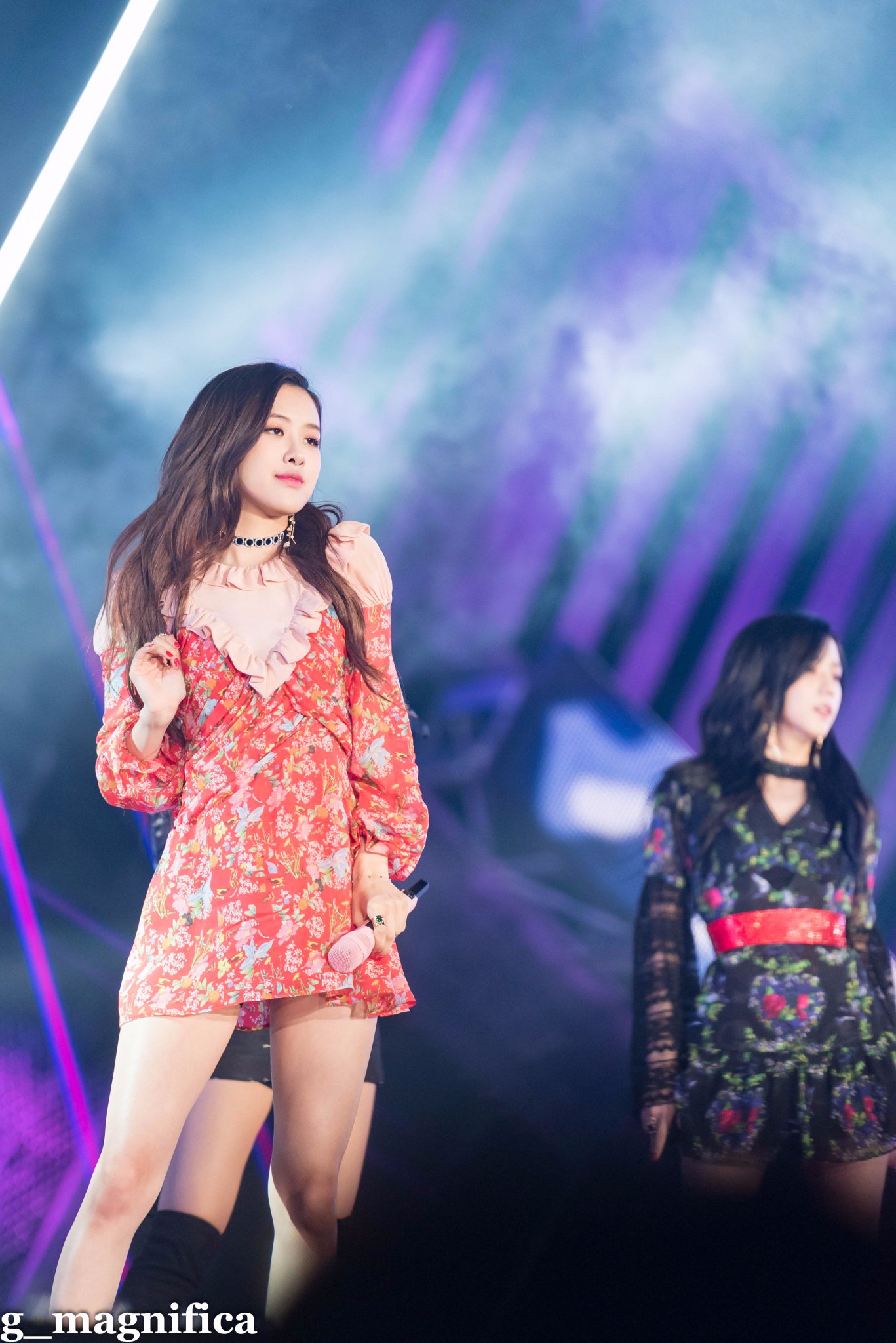 DLLn-r2UEAAytLq.jpg:large