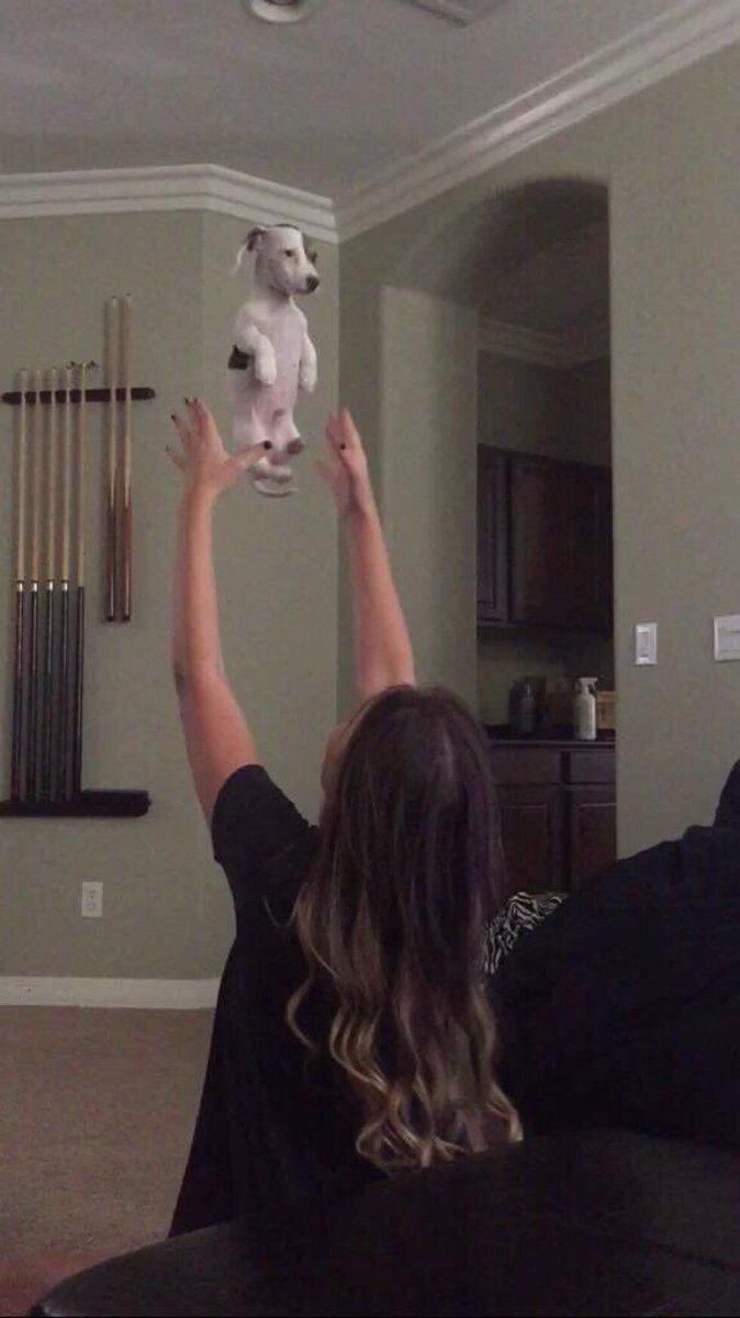 CauseWereGuys's tweet photo. "This bitch really just tossed me" https://t.co/RFDXNyld41
