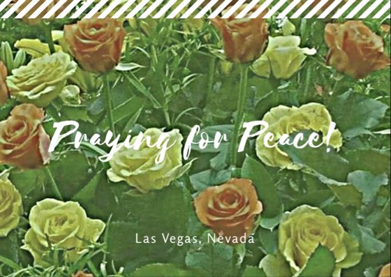 2Jahsmom's tweet photo. At a loss for words...#LasVegas #senselessact https://t.co/UVIbVC3UpC