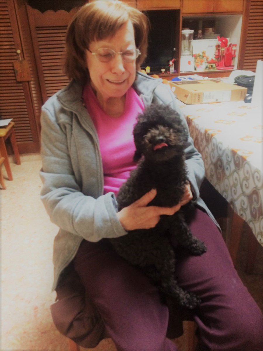 ElJovenMatheos's tweet photo. Mi abuela no encuentra a su perrita. Es su mayor compañía y está muy triste. Desapareció hoy (02.10.2017) por calle 4 -e/60 y 61- (La Plata) https://t.co/JGb7m5hDvl