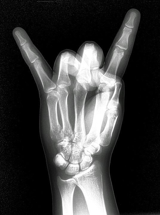 Metalmike3's tweet photo. @tessquiroga Have a rockin' rest Tess ! https://t.co/sfXFQIbiVB