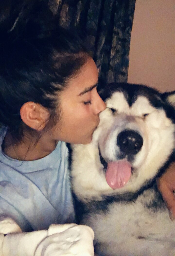 Nani's tweet photo. A girl's best friend 🐺🌙💜 https://t.co/aWtQ360msR