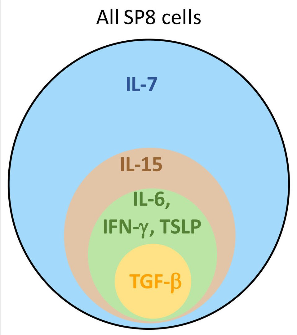 mmw_lmw's tweet photo. CD8 T cell #LineageSpecification by CytokineSignals in Thymus | AlSinger @theNCI @NatImmunol https://t.co/82EYvC38gj https://t.co/caNnbzikyn