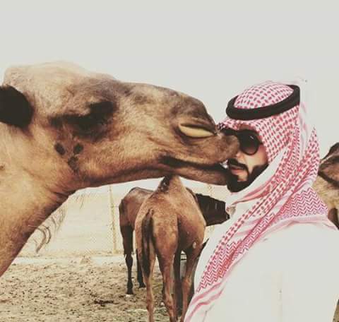 #❈ ســهيــت فــي حــب الــبڪــار المــزايــيــن ❈

❈ ونــســيـت حــب مــعـســلات الــشــفـايــف ❈