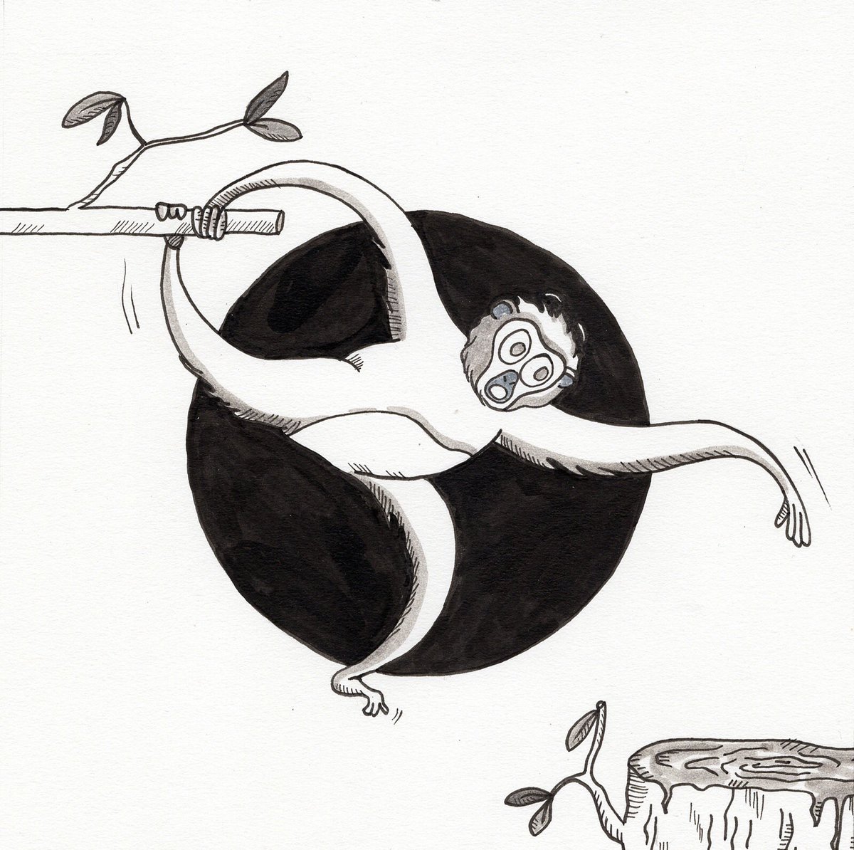 evamelba's tweet photo. #inktober2017 #inktoberday1 La déforestation est la 1er cause de disparition des singes. https://t.co/YFrDpgtjHb