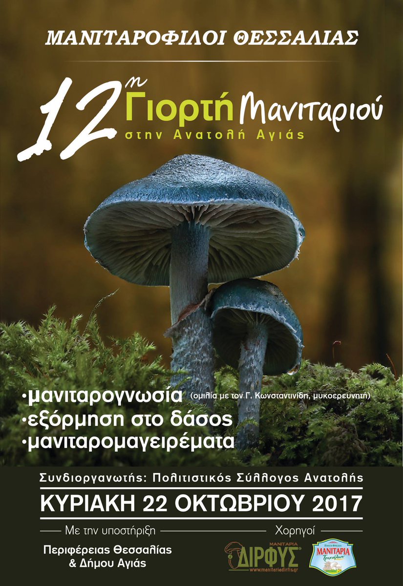 mushring's tweet photo. #Mushrooms festival on #Kissavos mountain, Anatoli #Ayias, #Greece! Sunday, 22 October @MushroomTopNews @visitgreece @e_thessalia https://t.co/39baQwYILH