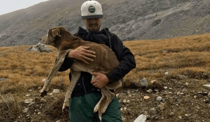 moderndoglovers's tweet photo. Mountain Climbers Rescue Dog Stuck on Colorado Mountain for 6 Weeks - https://t.co/fnLmFRvj3a - #dog https://t.co/MEtafP4DjF