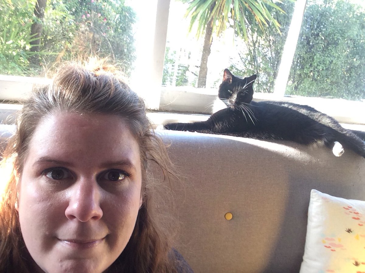 This someone who is hungry, hormonal and came home to a wide open door. This is an indoor cat who has spent the day outside.