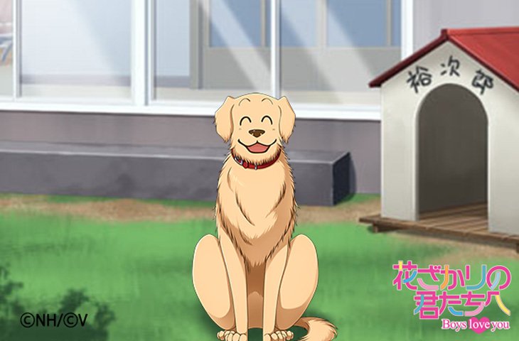 花ざかりの君たちへ 公式 恋愛アプリ Hnkm Bly Twitter