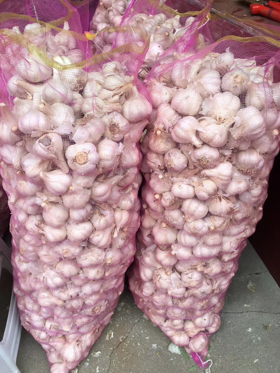 ChineseGarlic's tweet photo. https://t.co/qgVtkdk1JL