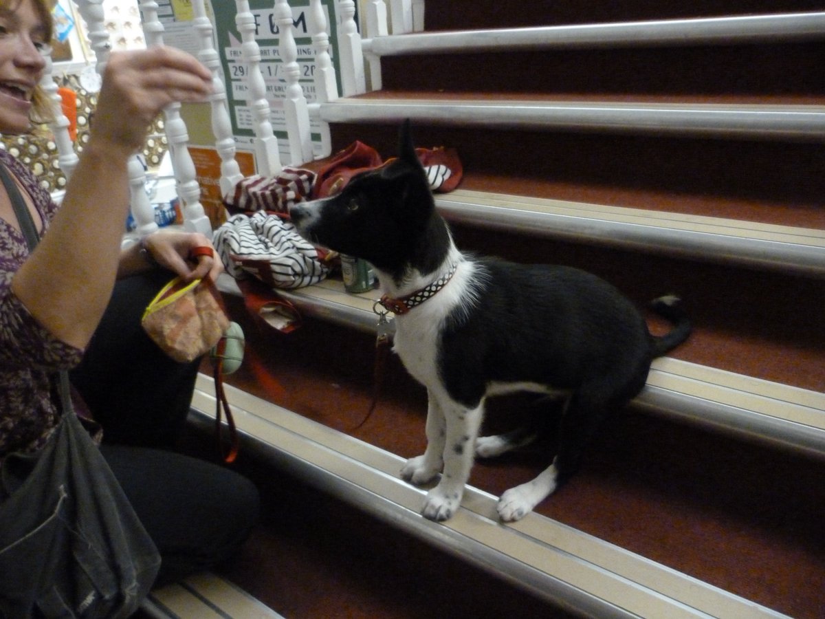 wee <a href="/FOMOJOY/">#writing = #arting</a> 
#writing = #arting pupper <a href="/FalmouthArtGall/">Falmouth Art Gallery</a> j o y