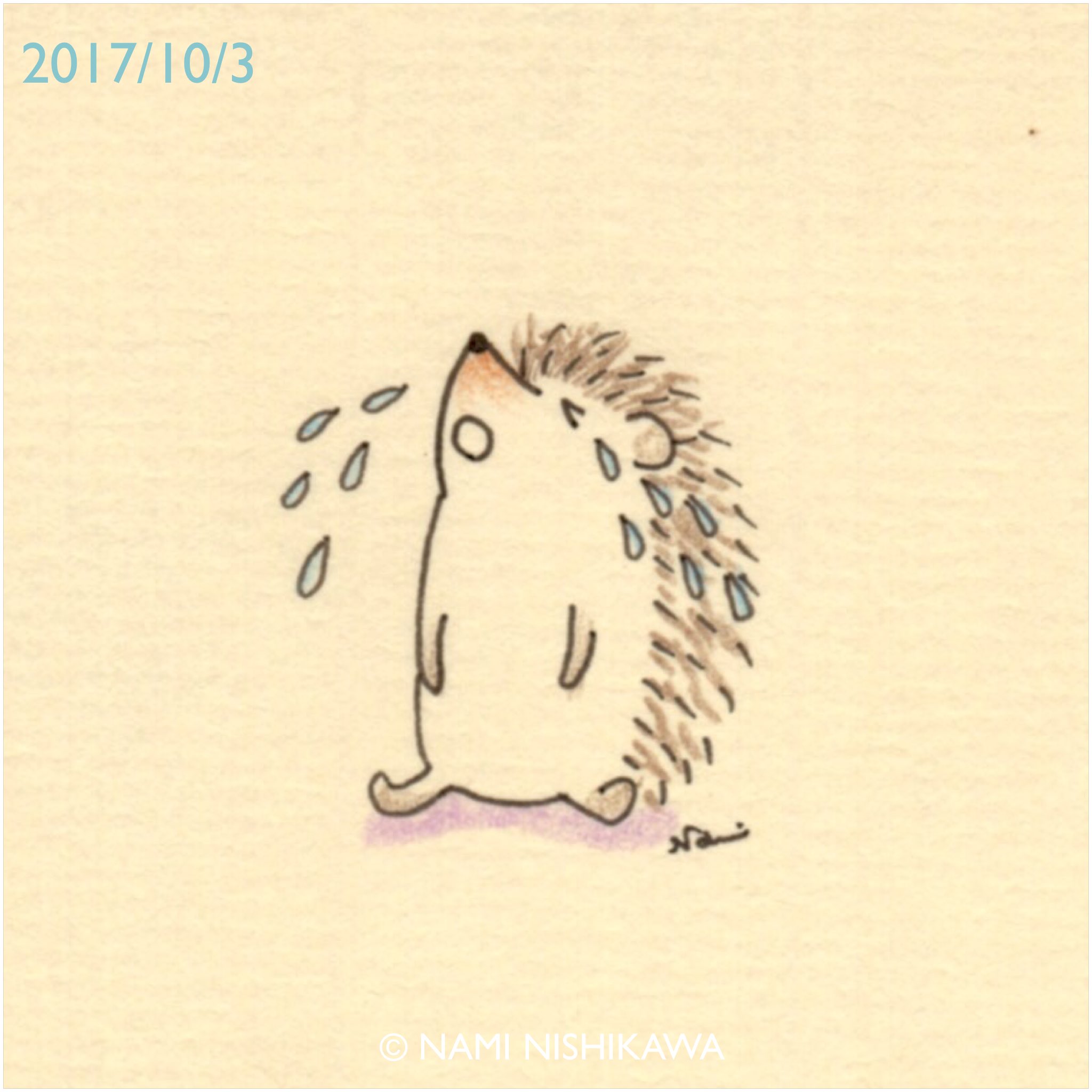 はりねずみ様 ハリネズミのダーシー POSTCARD BOOK｜青幻舎 SEIGENSHA Art