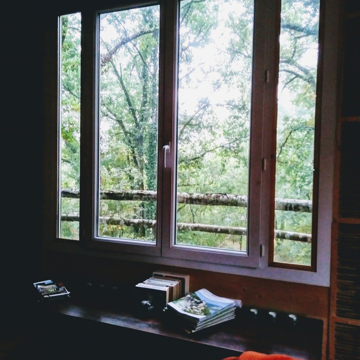 KristellLouazo's tweet photo. Planning d'octobre : lecture, méditation, yoga, nature
#meditation #jedonneunsens #forêt #dansmacabane https://t.co/ryX34IiP7C