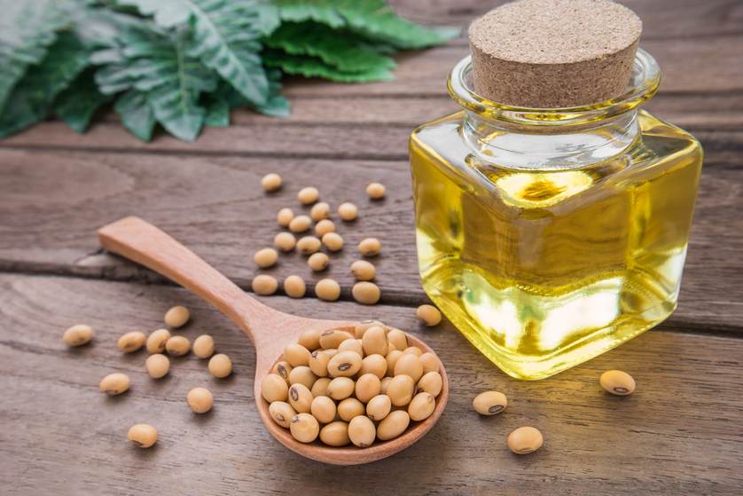 ExpFoodChem's tweet photo. GM Soybean Oil Causes Less Obesity and Insulin Resistance but Is Harmful to Liver Function #SoyabeanOil #Obesity #Insulin #FoodChemistry #UpcomingIssue #SubmissionsOpen #AcceptingArticles https://t.co/iE7NKSn1cb