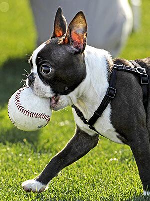 ForTheFruitLoop's tweet image. “No seriously, where are my fruit loops?” 

⚾️Dream Daddy Rp
⚾️Smut 18+ 
⚾️College AU
⚾️Open Rp 
⚾️Not new to Rp