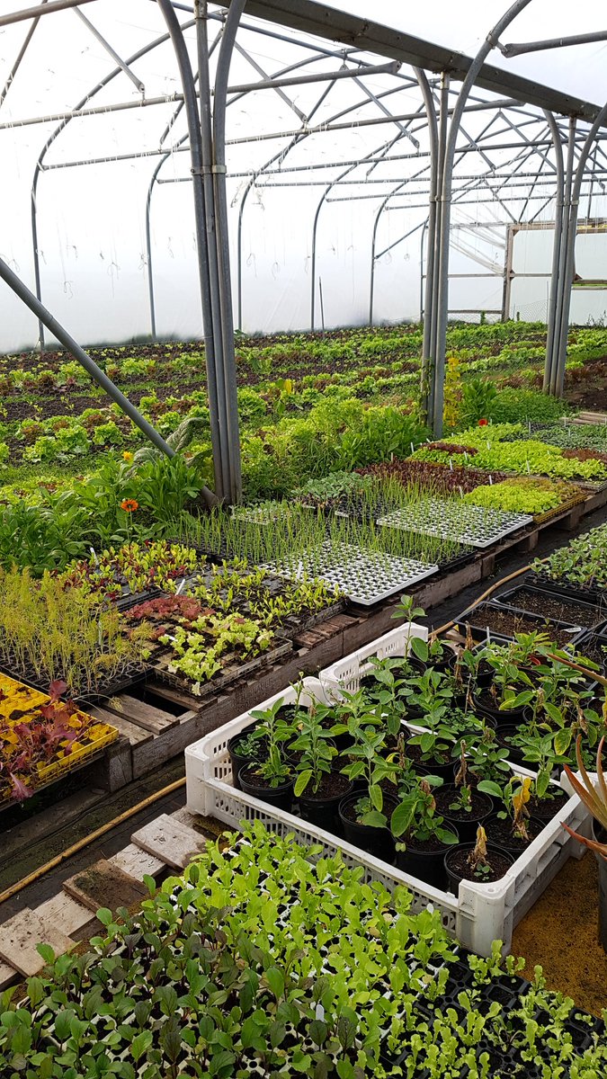edicityacres's tweet photo. Thank you everyone @nourishscotland for an inspiring day @PillarsFarm &amp; @meadowsweetorg ❤🌿👍 https://t.co/L0qTEZZKcU
