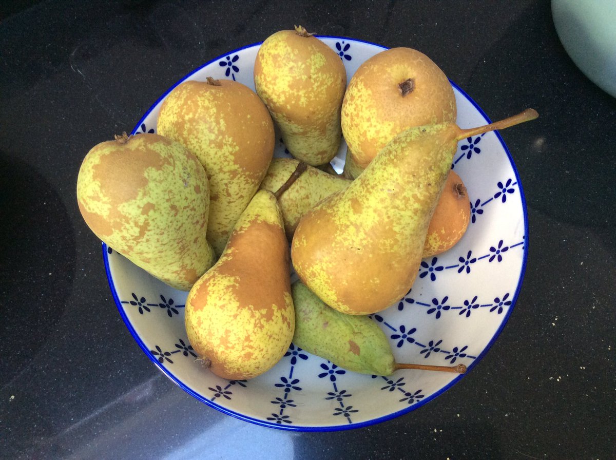 pieterklein's tweet photo. Oh ja, #conferenceperen uit eigen voortuin ook erg smakelijk #zondergif https://t.co/xCu445UcPd