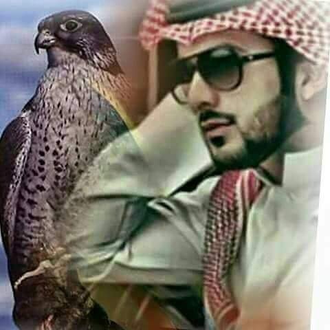 حنا بدو نعشق قصايد ومقناص 
ونحب نحكي عن سلوم القبايل
والمعتدي نسقيه بارود ورصاص 
ونرد لأصحاب الجمايل جمايل