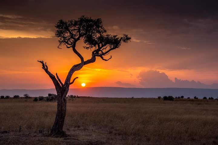 Space for Giants tweet media