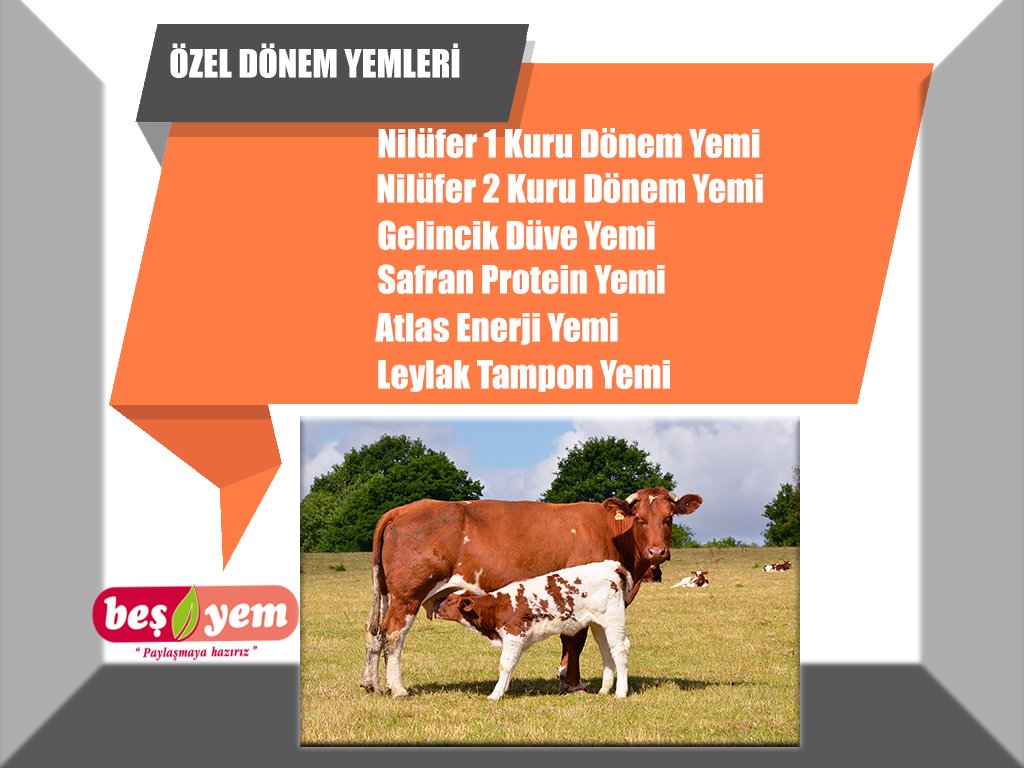 Özel Dönem Yemleri #besyemcomtr, #besyem, #beslergroup