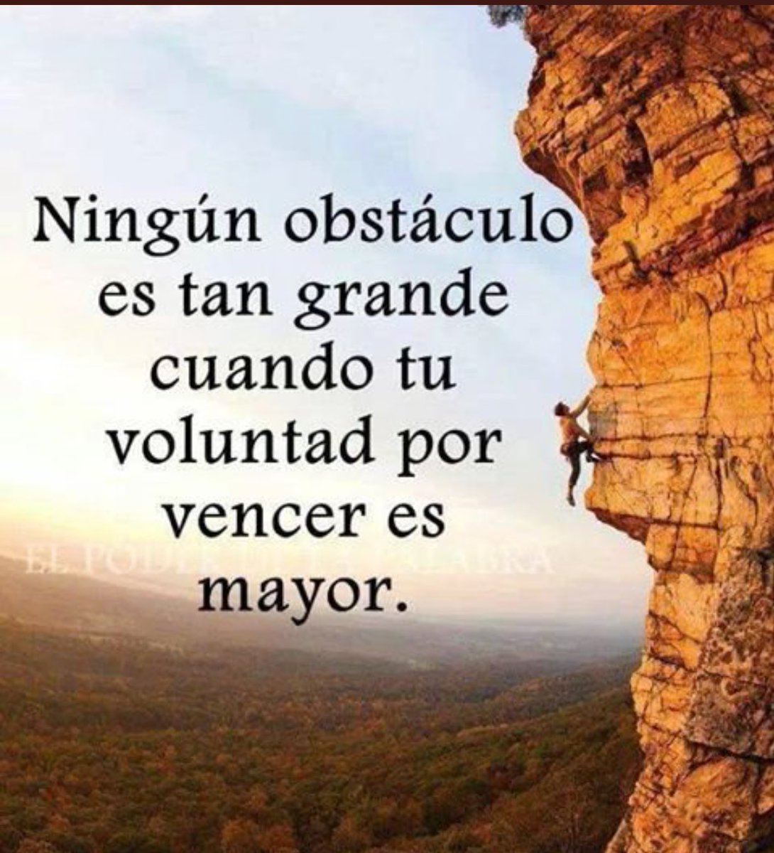 #FelizMartes llegaras hasta donde tu mente y corazón quiera! Si se quiere se puede👍🏻