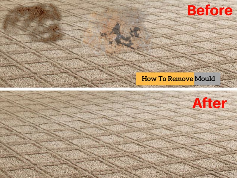 SydneyCleanGrp's tweet photo. Effective Ways to Remove Mould from Carpets. 
#mould #mold #removemold #carpetmoldremove #cleaning #carpet #stain
https://t.co/3l60RdlsRS https://t.co/1bhepoOLrb