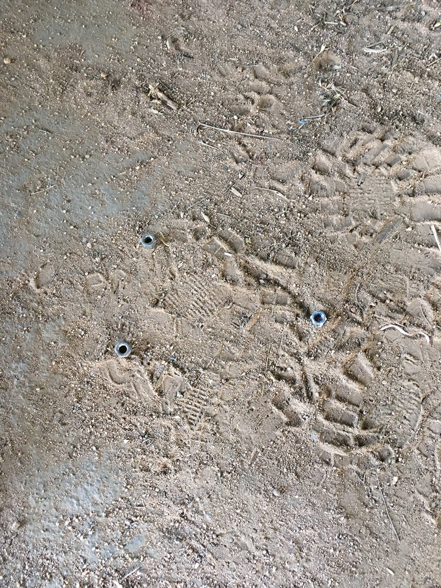 Confucius says if you drop four nuts you will only find three