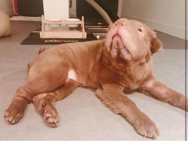 flighttoseoul's tweet photo. 171003 Hongki's IG

#StiffNeck #TheFeelingOf #WhetherEveryone's #HavingA #GreatChuseokOrNot https://t.co/jouXJRwuQF