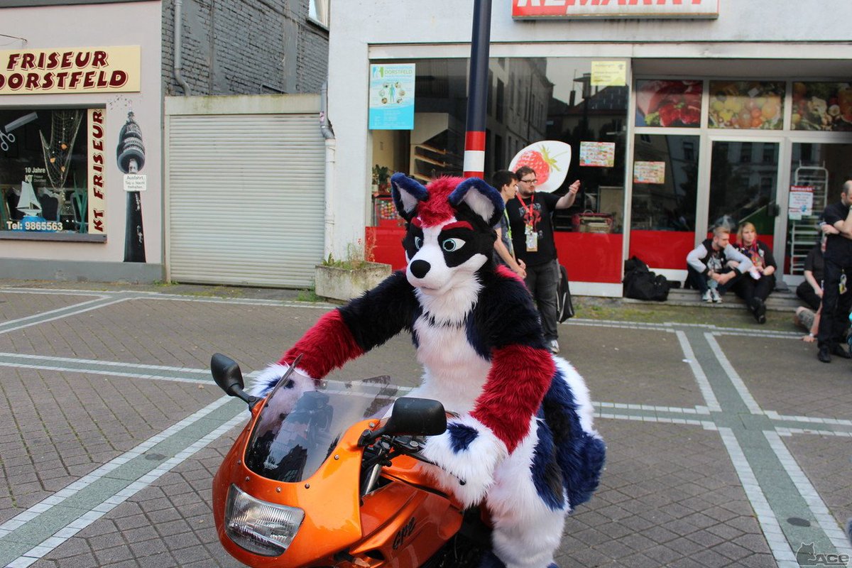 Fursuit Photo of the day