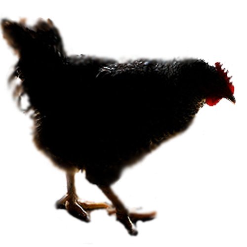 Norak.com y el cortometraje venezolano "La eternidad de Paula" nuevos aliados. Gracias <a href="/NorakVigo/">NORAK VIGO</a> <a href="/NorakPress/">Norak Communications</a> <a href="/NorakFrankfurt/">FRA - NORAK Group</a>