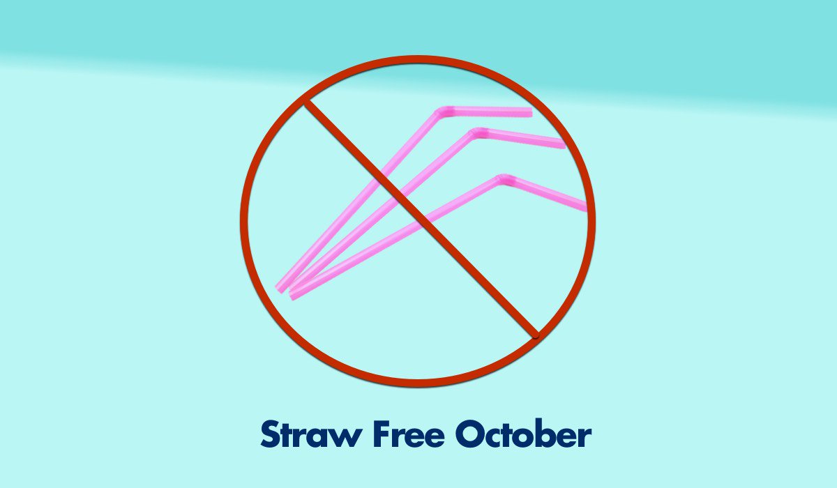MarineMegafauna's tweet photo. By 2050, plastics could outweigh marinelife. Can you help us go straw free for October? 🚫🥤 #strawfreeoctober #plasticpollution #ouroceans https://t.co/djoMw7ceBY