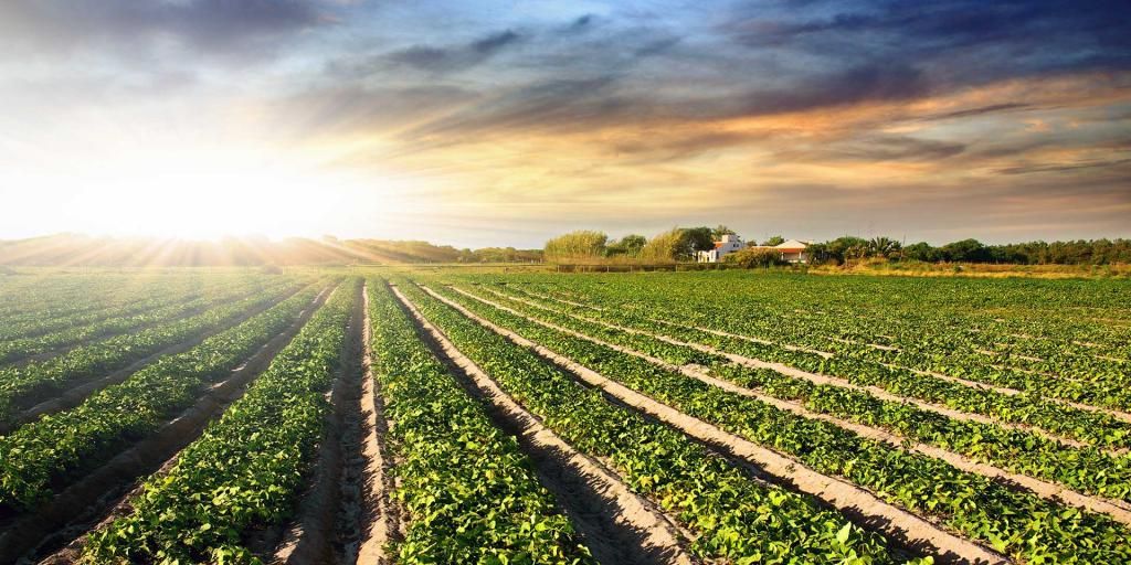 mydietchef's tweet photo. #Estrogen Rich Foods and #Phytoestrogens : The Good and the Bad @Anabolic_Health https://t.co/QAu08bt2ss #menshealth https://t.co/SyMb7AEwGX