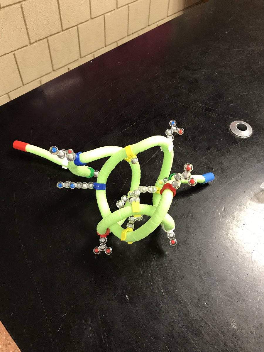 holtan4's tweet photo. Hour 1 group 1 amino acid!!@kris10gab https://t.co/gsNuAaXblx